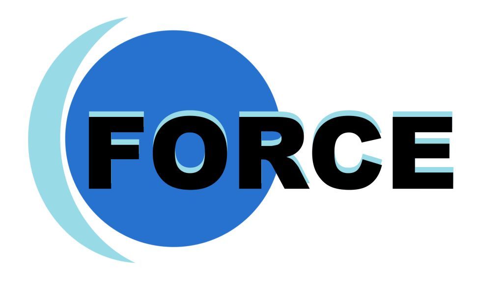 Force Ten Technologies Pvt Ltd.